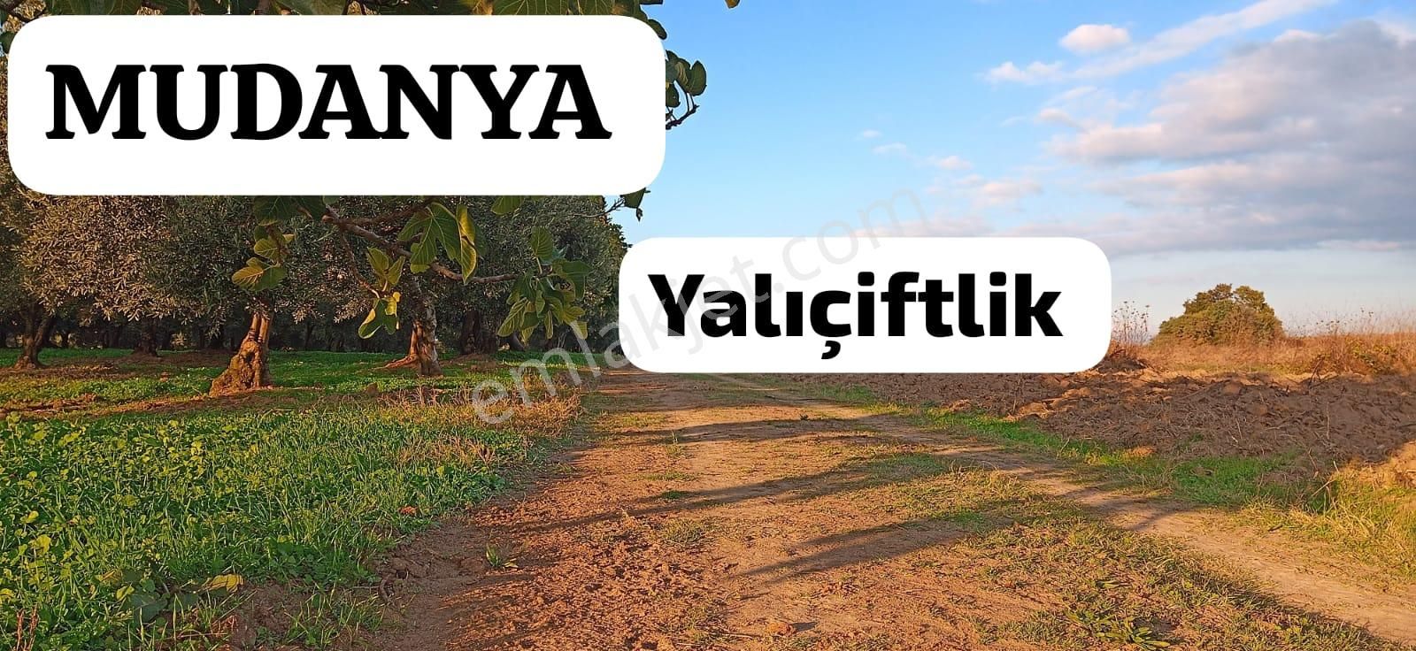 Mudanya Yalıçiftlik Resmi Kadastro Yoluna Cepheli - Görsel 2