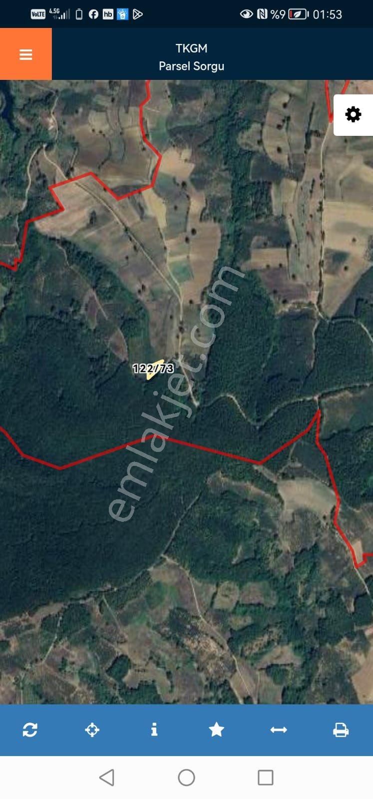 Kocaeli Kandıra Fındık Bahçesi Satılık - Görsel 2