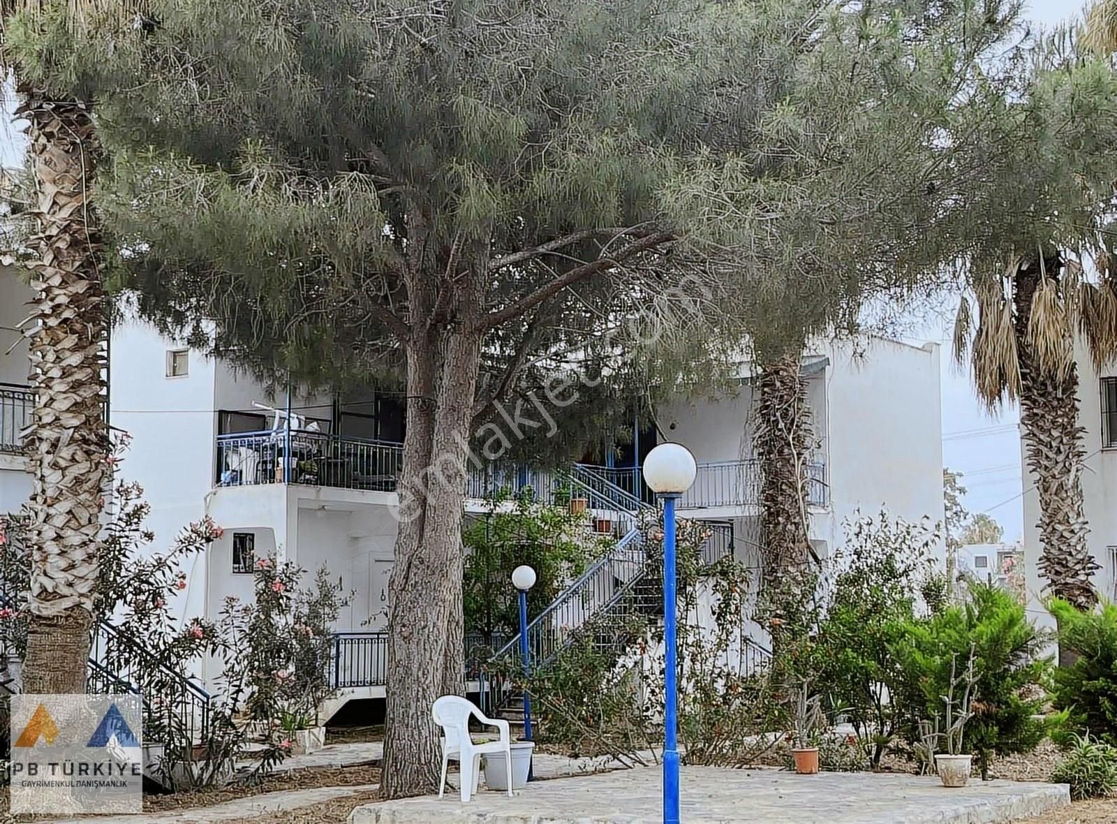 Bodrum, Gümüşlük Peksimet'te, Denize 200 Metre Yazlık 2+1 Daire - Görsel 24