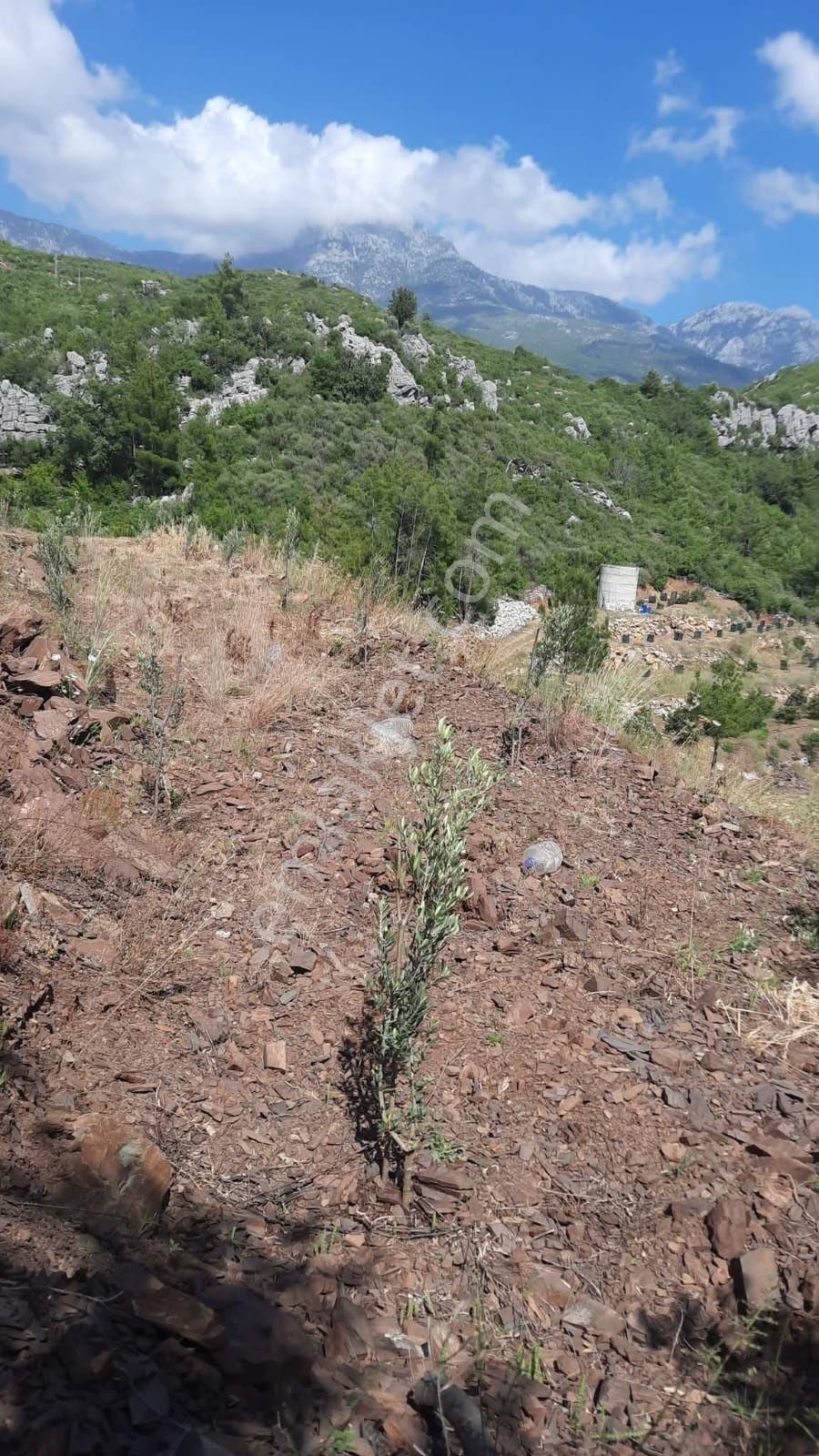 2825 M2 Tırılarda Yerimiz Satılıktır - Görsel 9