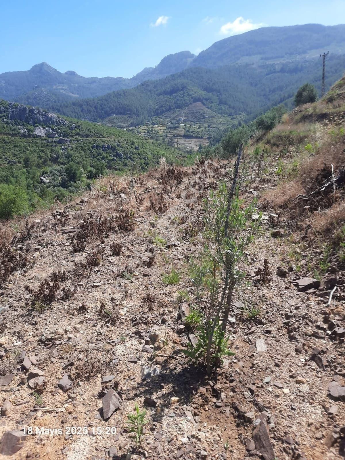 2825 M2 Tırılarda Yerimiz Satılıktır - Görsel 5