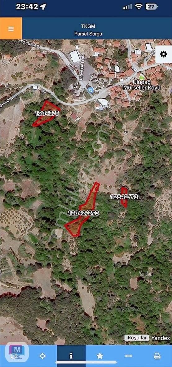 Bursa Osmangazı Mürseller Köyünde Muhtelif Hisseli Arsalar