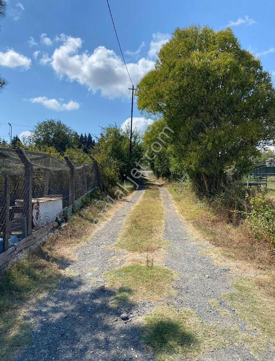 Çatalca Kalfa Köy'de Satılık Yatırım Aile Toprağı Garantili - Görsel 8