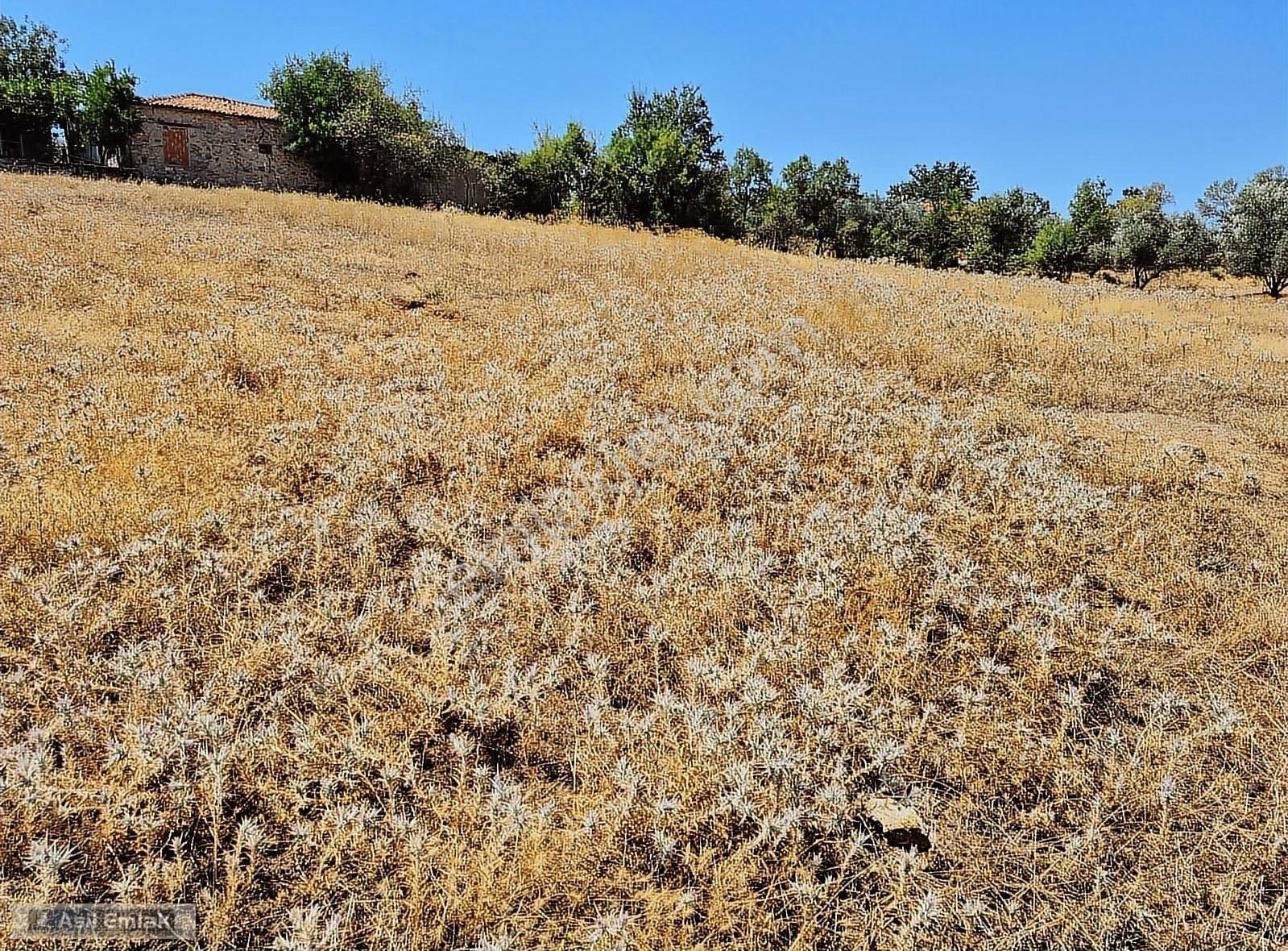 Asil Emlaktan Muğla Menteşe Yerkesik Mah.de Satılık Arsa - Görsel 2