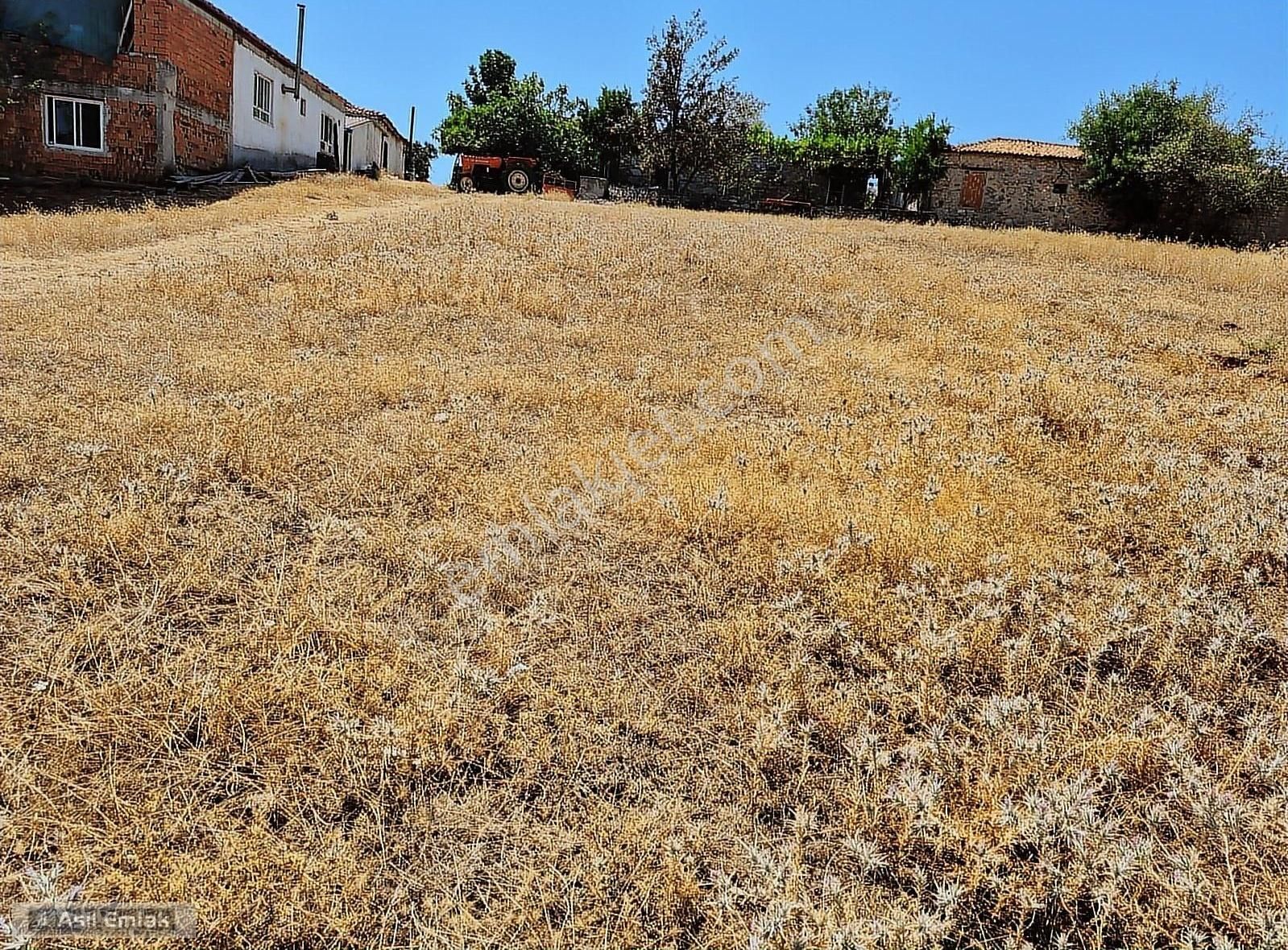 Asil Emlaktan Muğla Menteşe Yerkesik Mah.de Satılık Arsa - Görsel 13