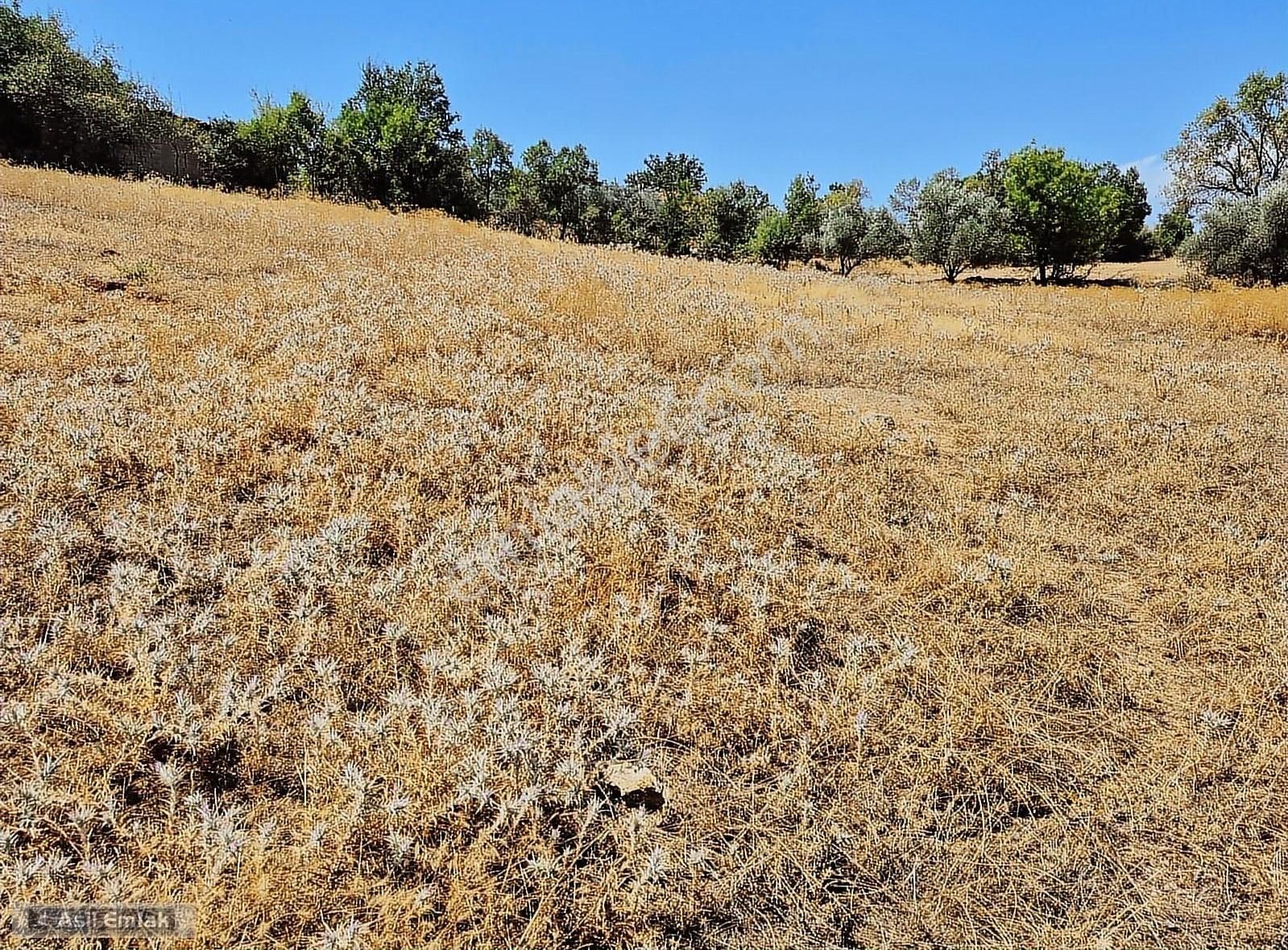 Asil Emlaktan Muğla Menteşe Yerkesik Mah.de Satılık Arsa - Görsel 4