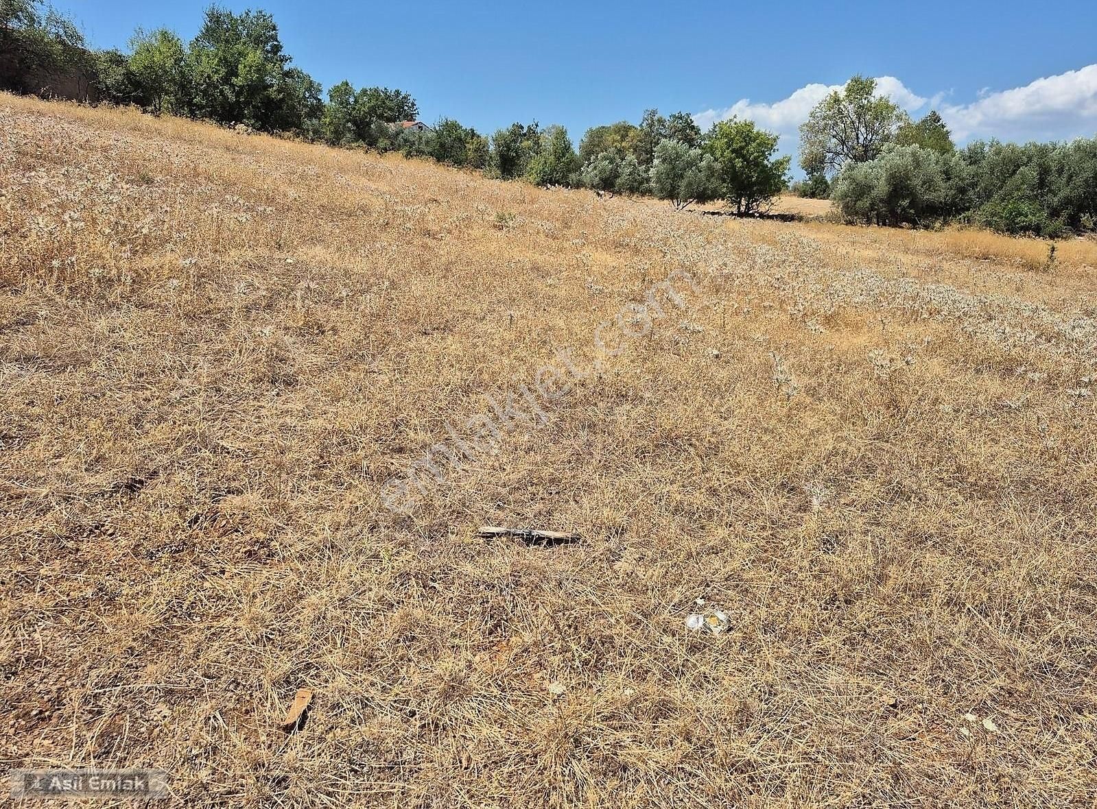 Asil Emlaktan Muğla Menteşe Yerkesik Mah.de Satılık Arsa - Görsel 5