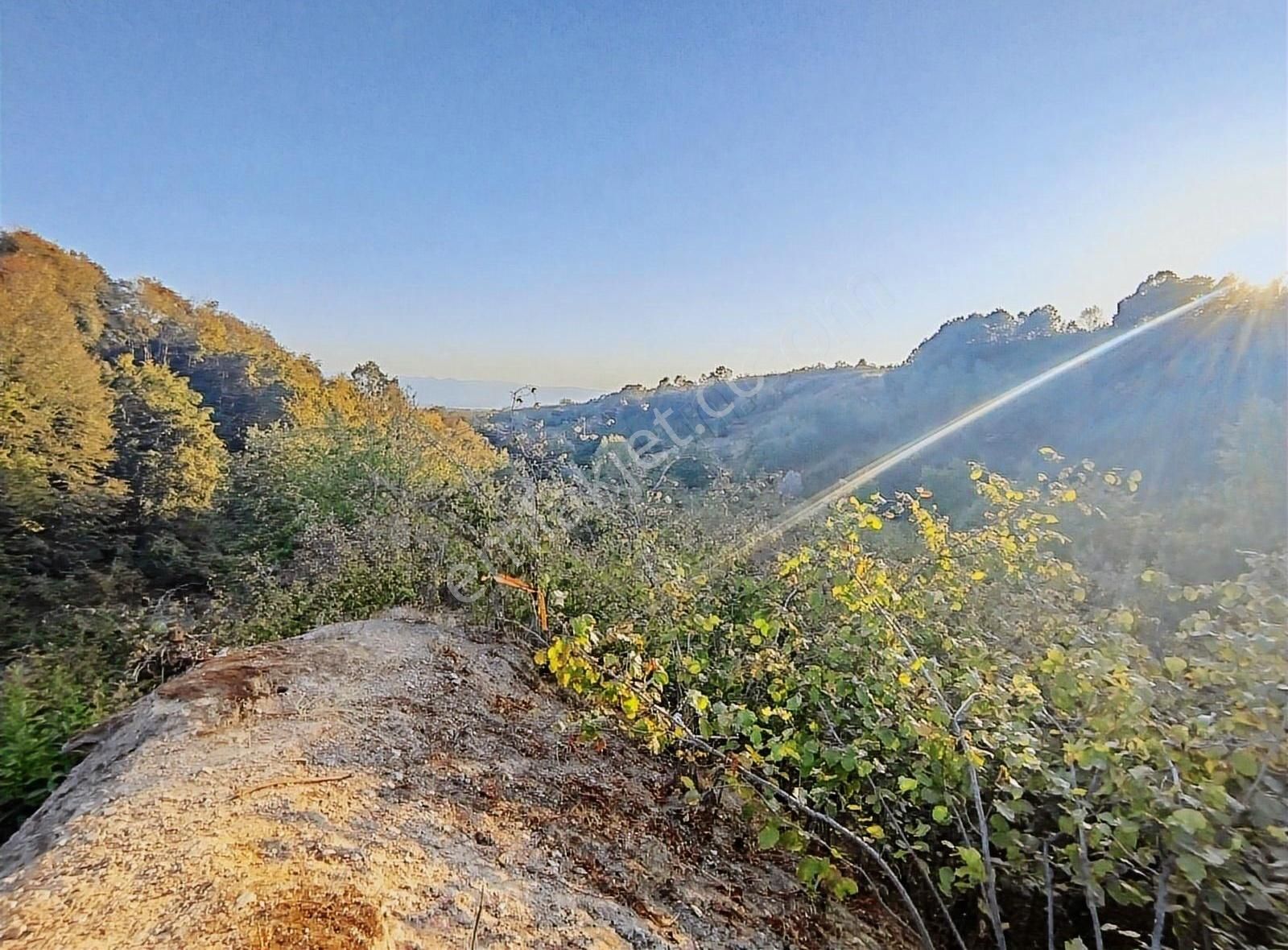 Alemdar Gayrimenkul Hendek Kazimiye 3400m2 Acil Satlık Fındıklık - Görsel 20