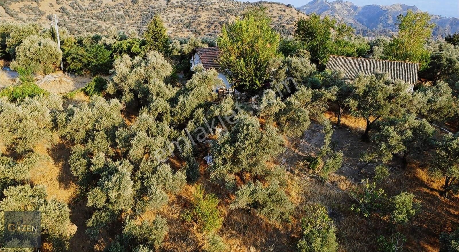 Aydın Efeler Aşağı Kayacık Köyünde Satılık 828 M² Ev Ve Arsa - Görsel 5