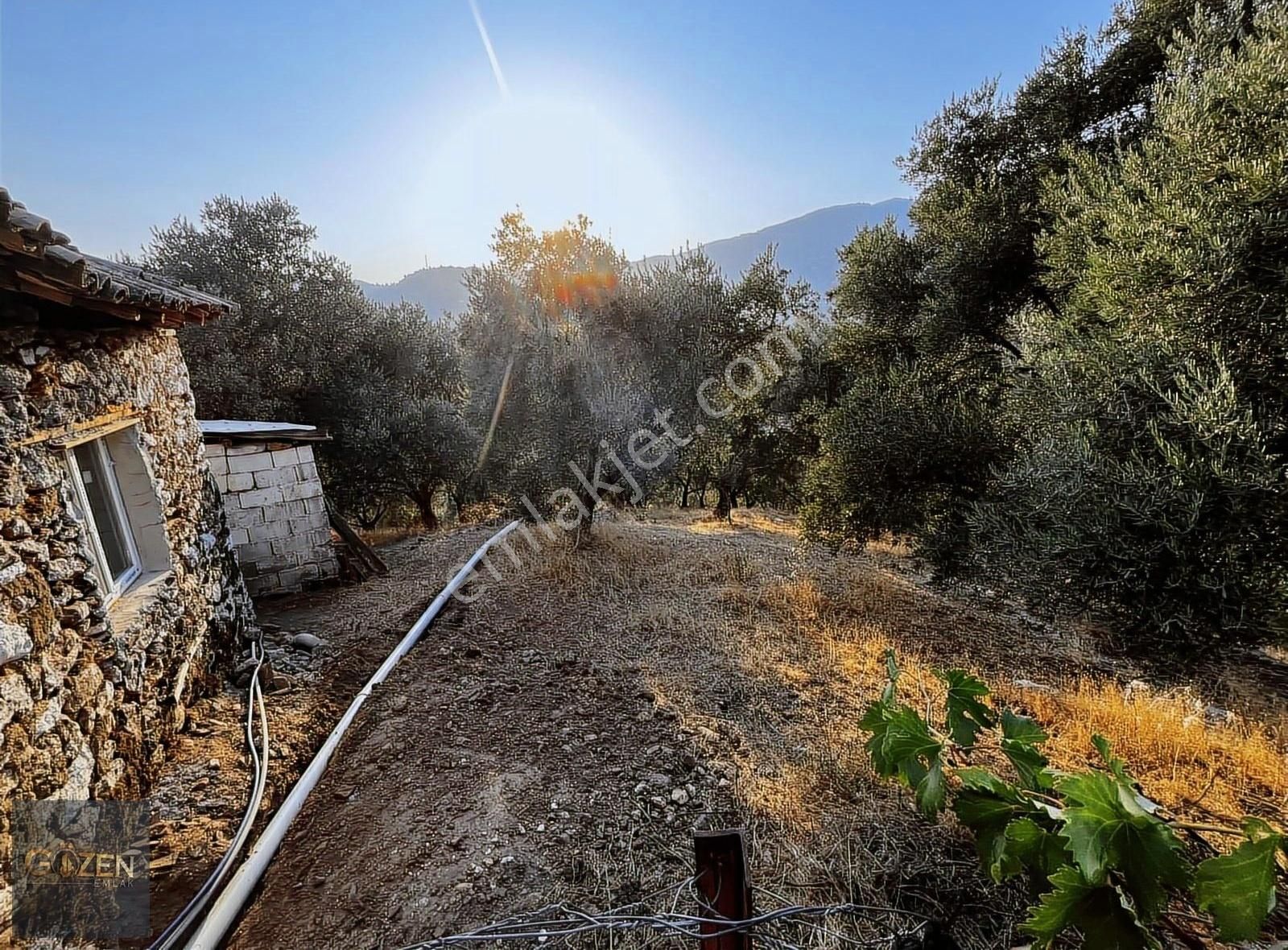 Aydın Efeler Aşağı Kayacık Köyünde Satılık 828 M² Ev Ve Arsa - Görsel 18