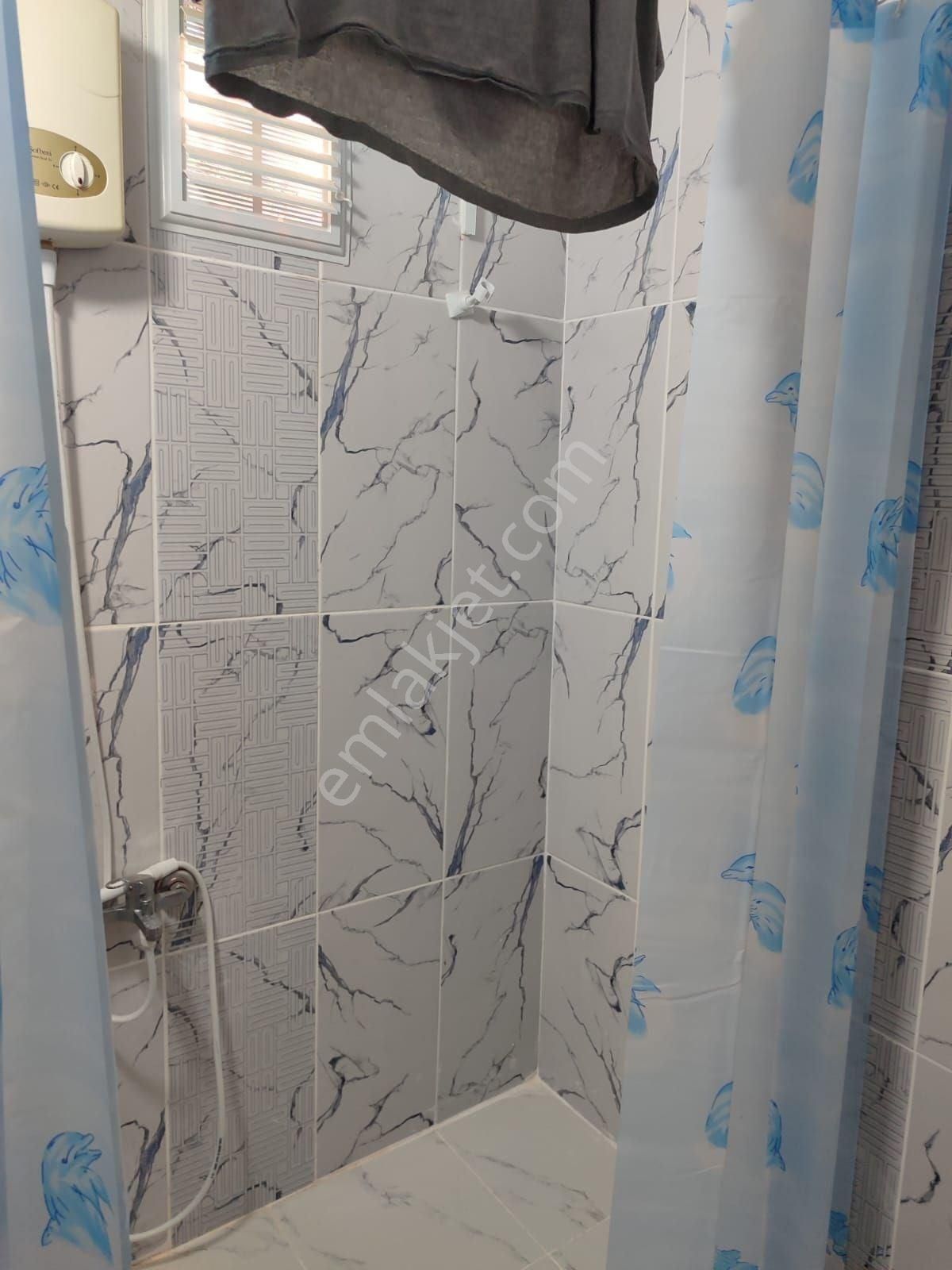 Söke Bağarasına Yakın Köyde Satılık Eşyalı Avlulu Müstakil Ev - Görsel 10