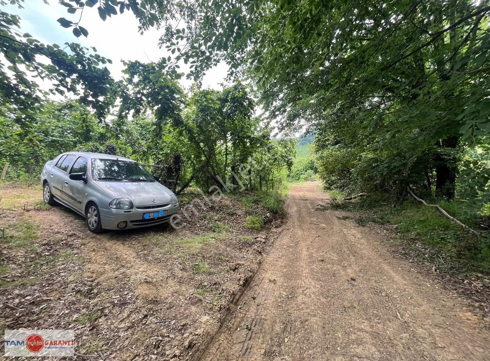 Kocaali Kozluk Mh İçerisinde 29.130 M2 Muhteşem Verimli Bahçe - Görsel 16