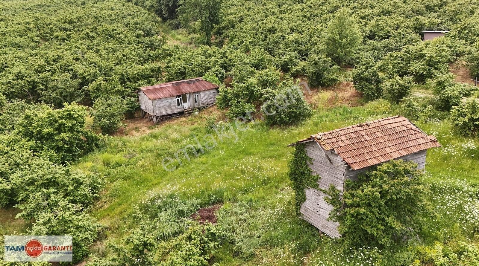 Kocaali Kozluk Mh İçerisinde 29.130 M2 Muhteşem Verimli Bahçe - Görsel 15