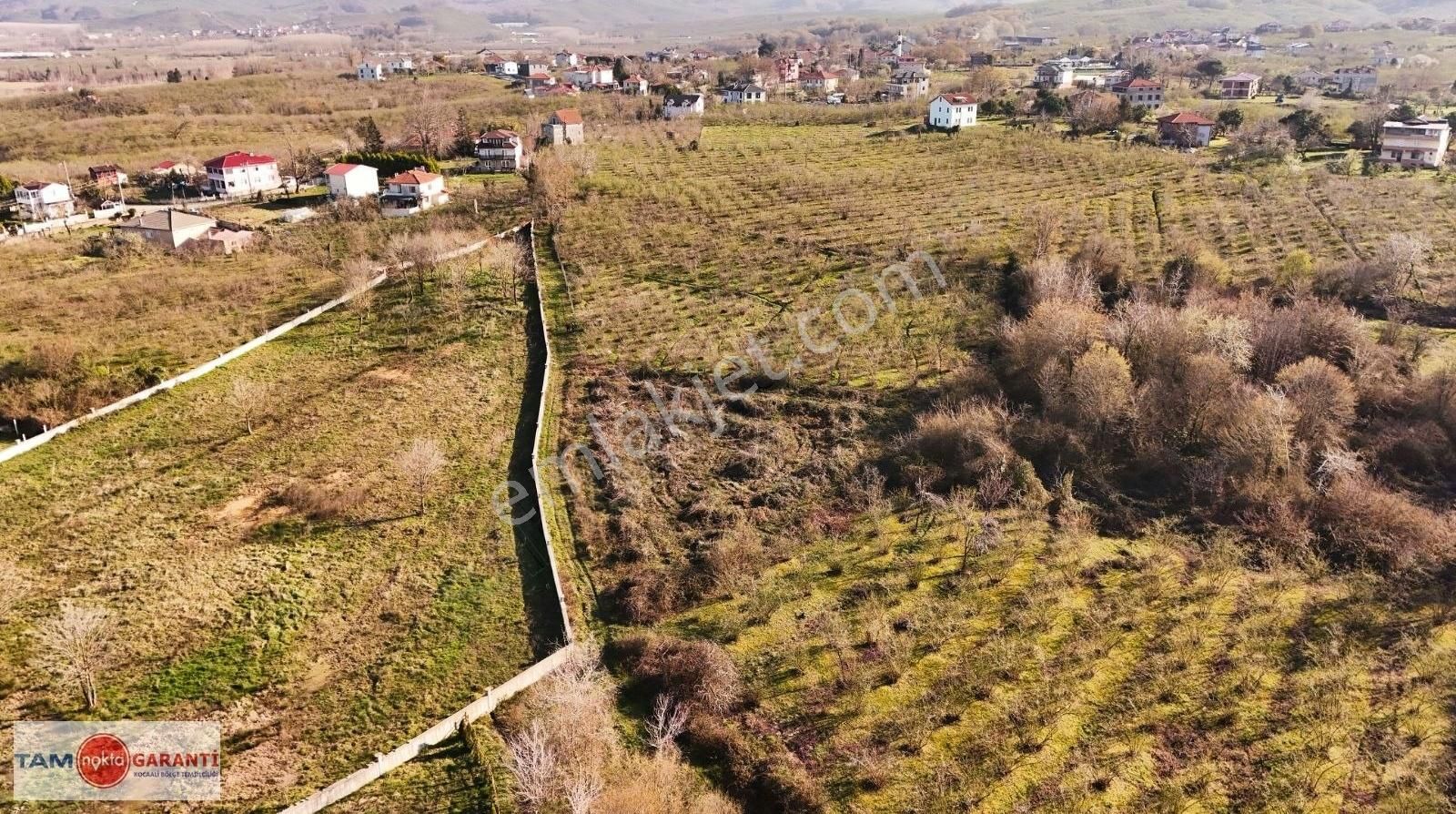 Kocaali Caferiye De Muhteşem Konum Ve Manzaralı 1780 M2 Arazi - Görsel 6
