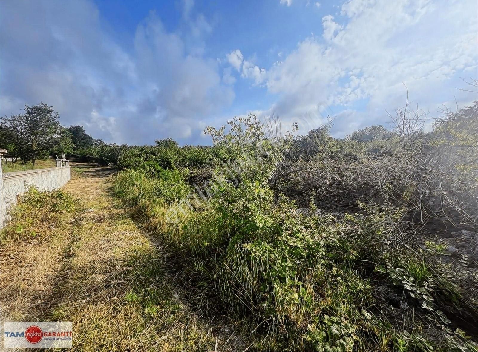 Kocaali Caferiye De Muhteşem Konum Ve Manzaralı 1780 M2 Arazi - Görsel 18