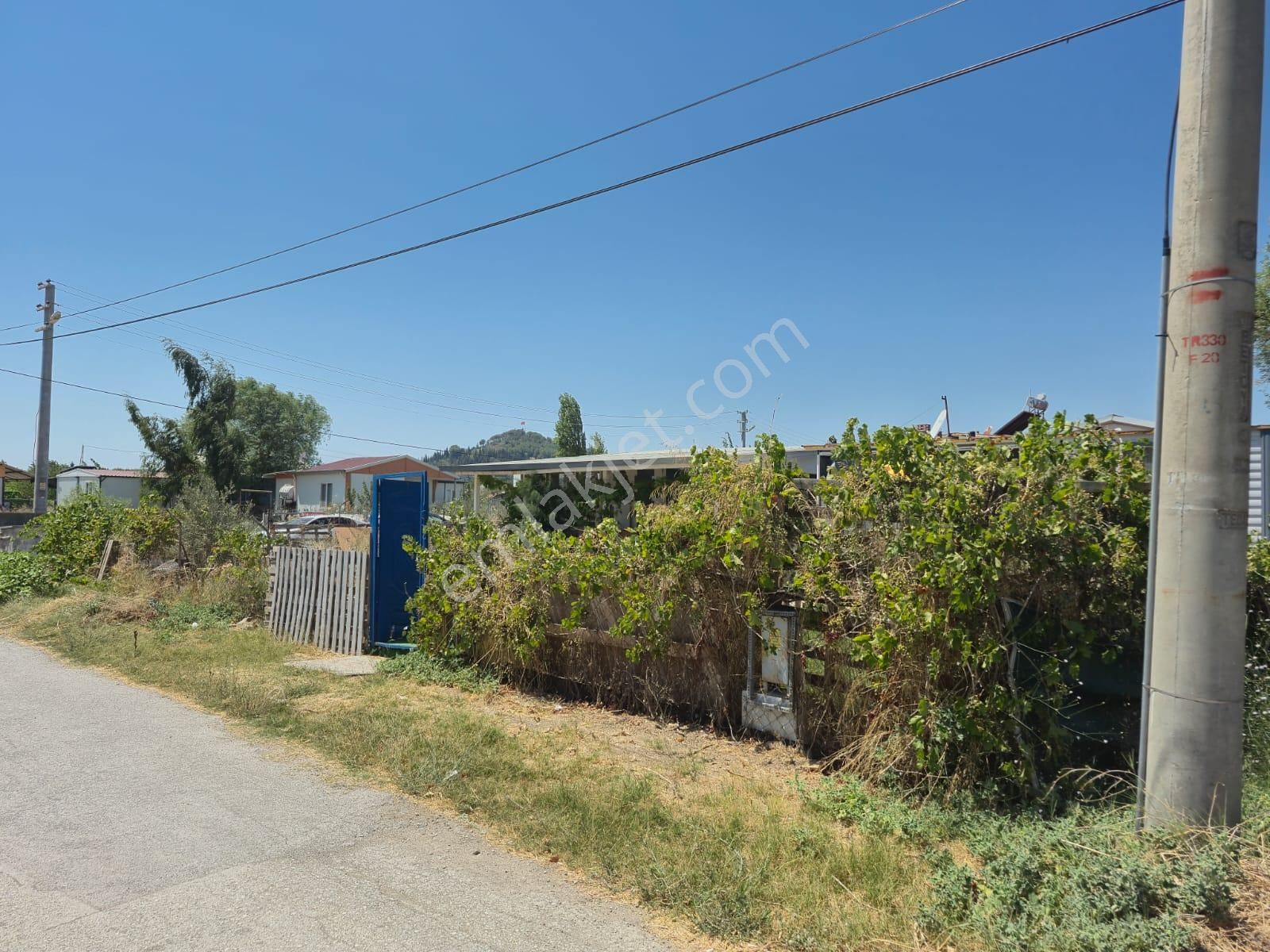 Urla İskele Hisse Tapulu Tarla Ve 1+1 Müstakil Ev - Görsel 4