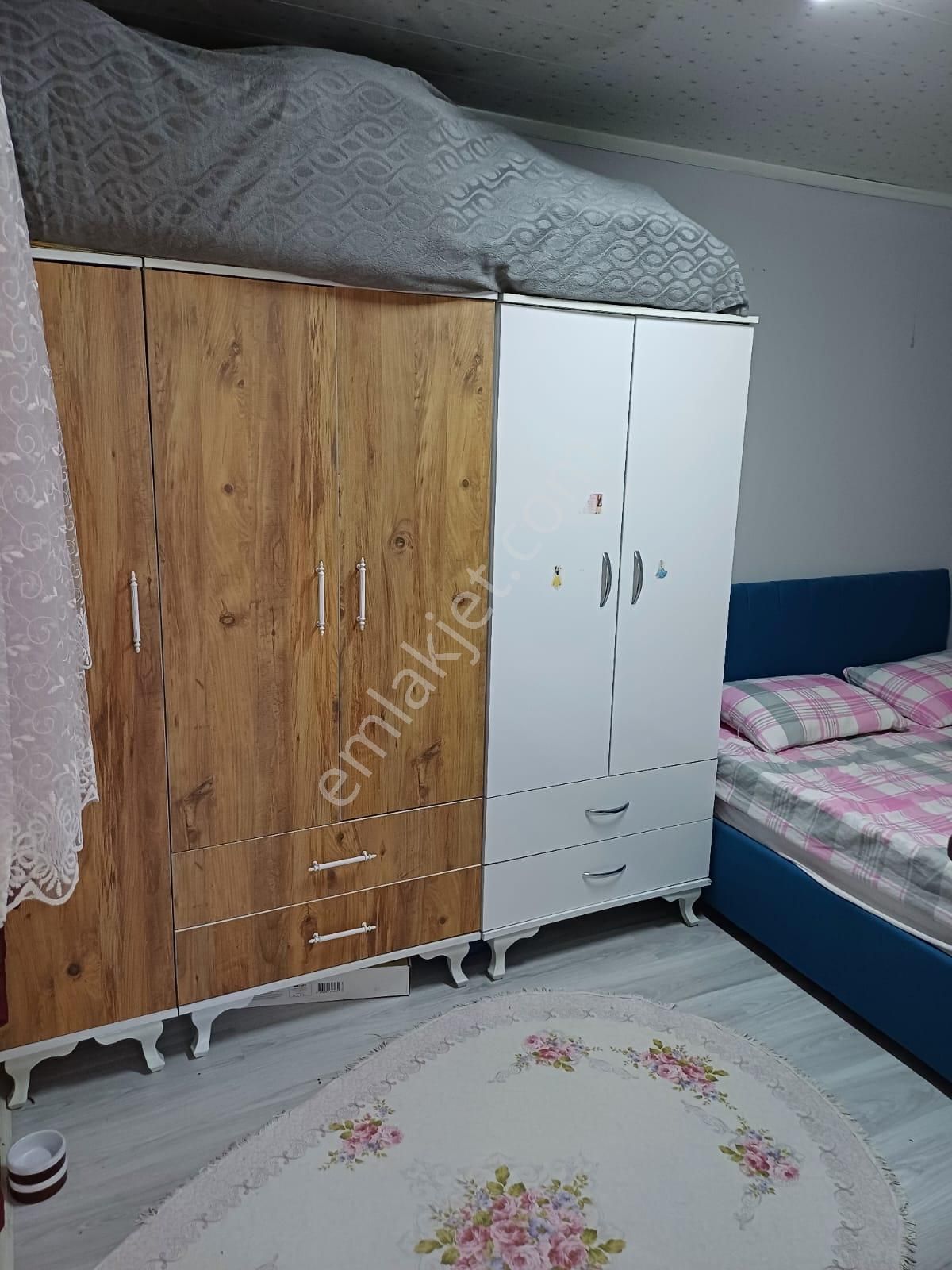 Urla İskele Hisse Tapulu Tarla Ve 1+1 Müstakil Ev - Görsel 8