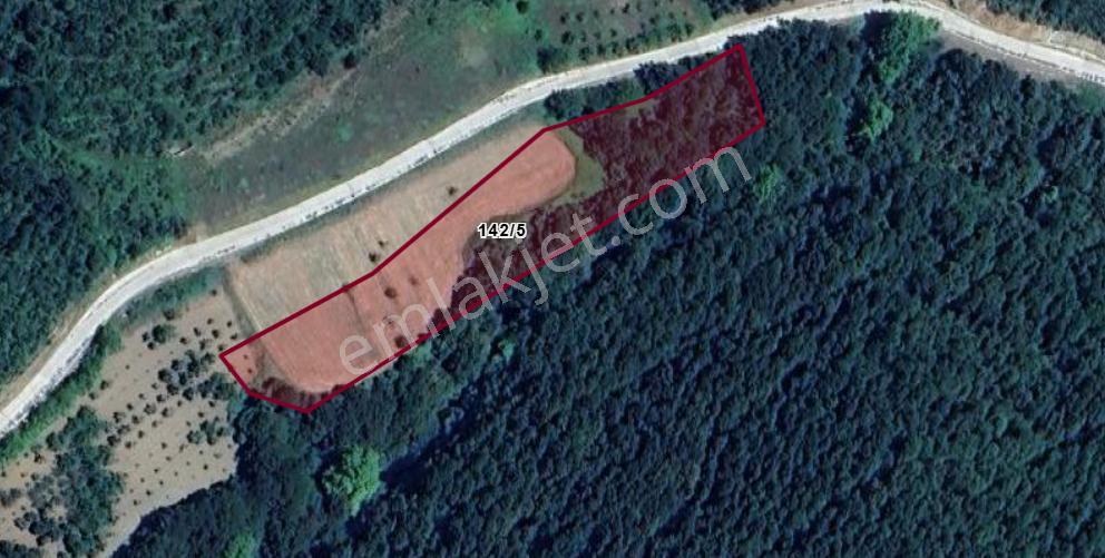 Kocaeli Karamürsel Avcıköy 5.555 M2 Satılık Tarla - Görsel 11