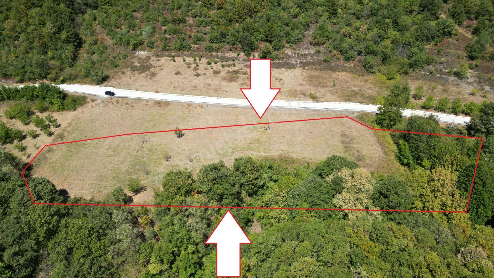 Kocaeli Karamürsel Avcıköy 5.555 M2 Satılık Tarla