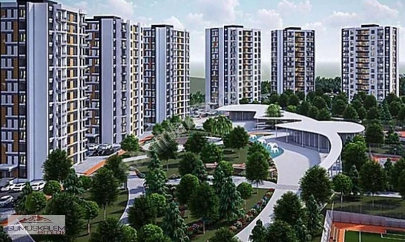 Çıkmış 2+1 F Hissesi