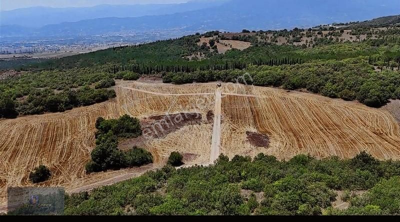 Royal Office Den İnegöl Çavuş Da 396m2 Hobi Bahçesi - Görsel 6