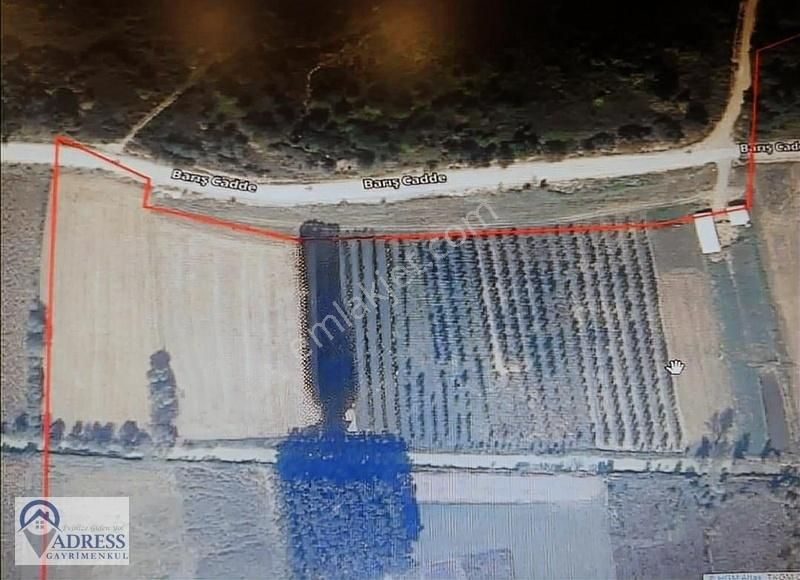 Adressten Sakarya Söğütlüde 3.155m2 Satılık Tarla - Görsel 10