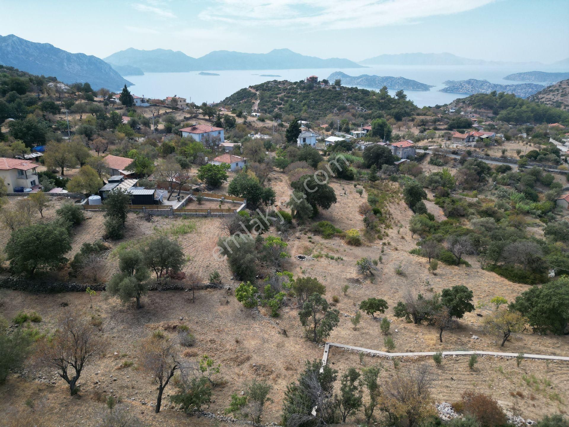 Joker: Marmaris Söğüt Deniz Manzaralı Elektrik Hattı Alınmış Satılık Tarla - Görsel 17