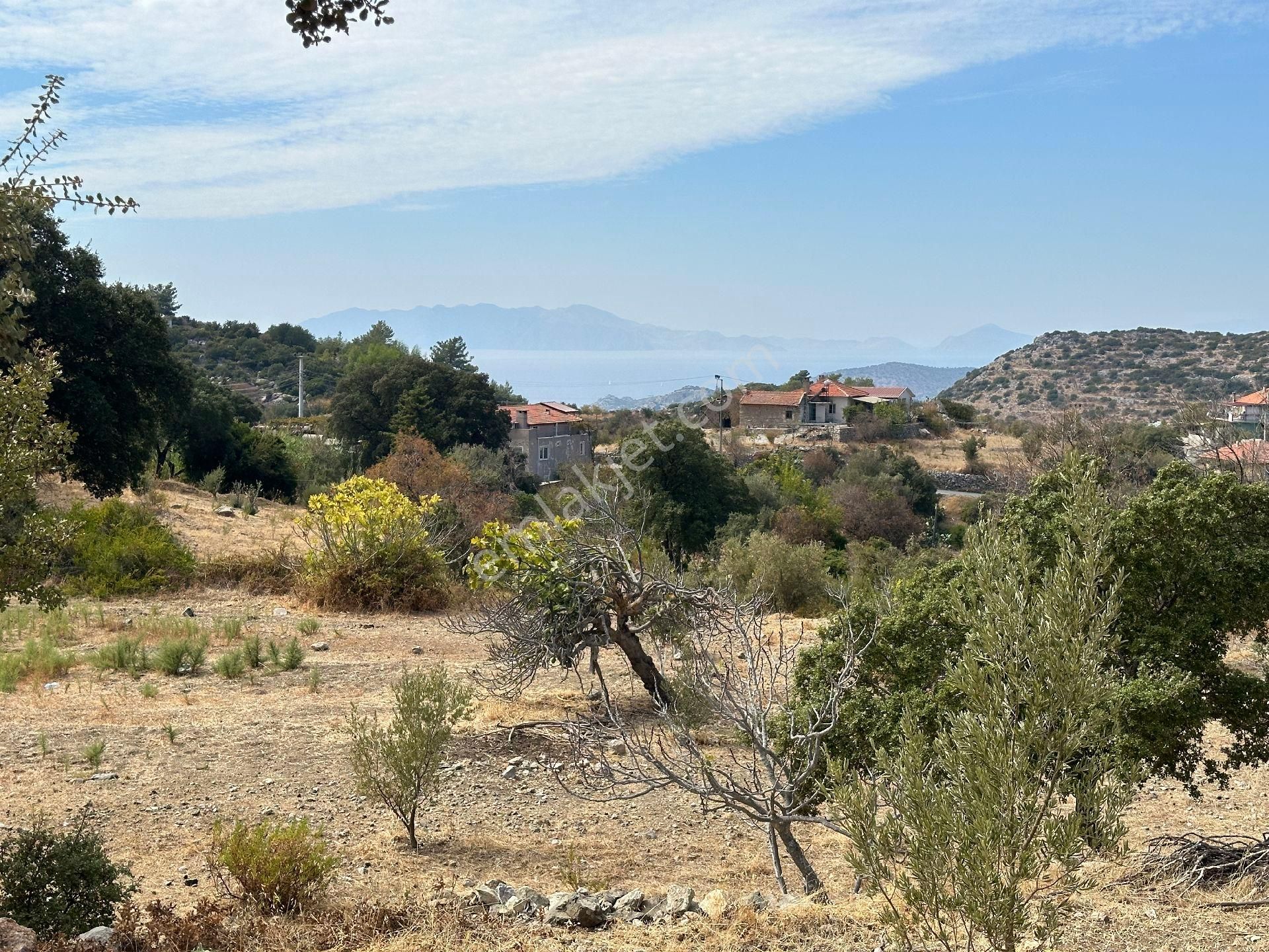 Joker: Marmaris Söğüt Deniz Manzaralı Elektrik Hattı Alınmış Satılık Tarla - Görsel 19