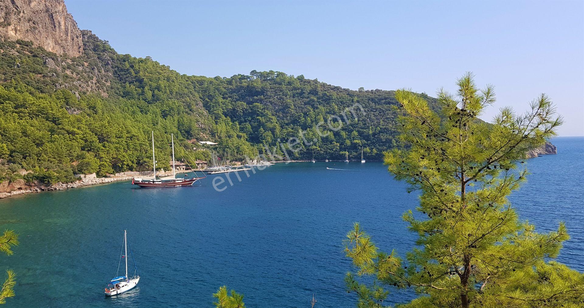 Muğla Köyceğiz Ekincik'te Satılık Denize 600 M. Mesafede Arazi - Görsel 12
