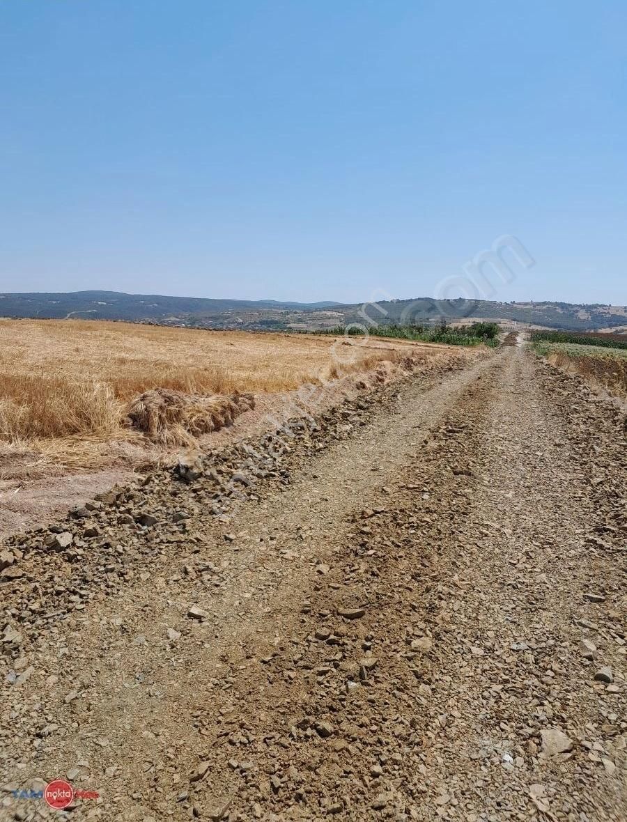 Bursa Yenişehir Çiçeközü Yatırımlık 8.984 M² Satılık Tarla - Görsel 5