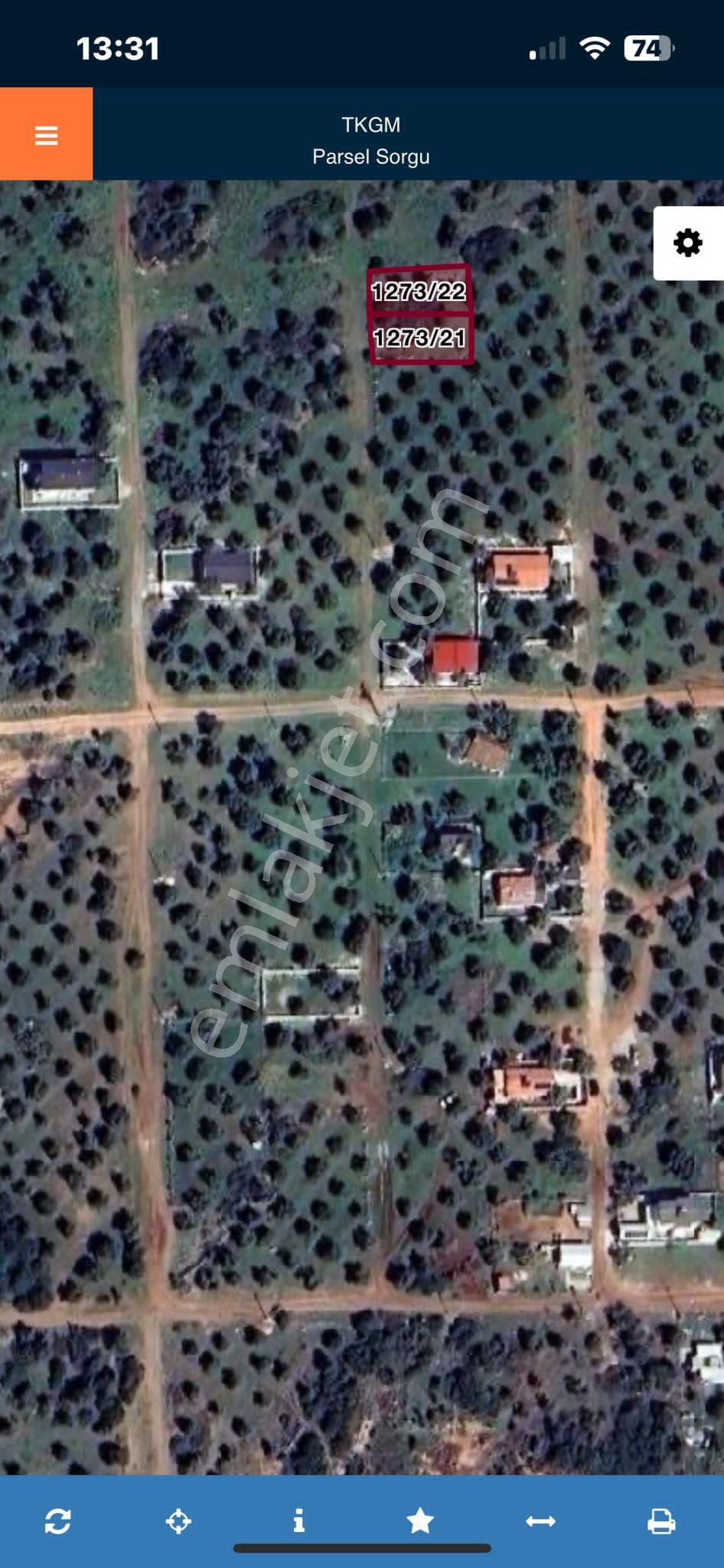 Aydın Didim Akyeniköy Kardelen Mevkiinde Satılık Yanyana Arsa