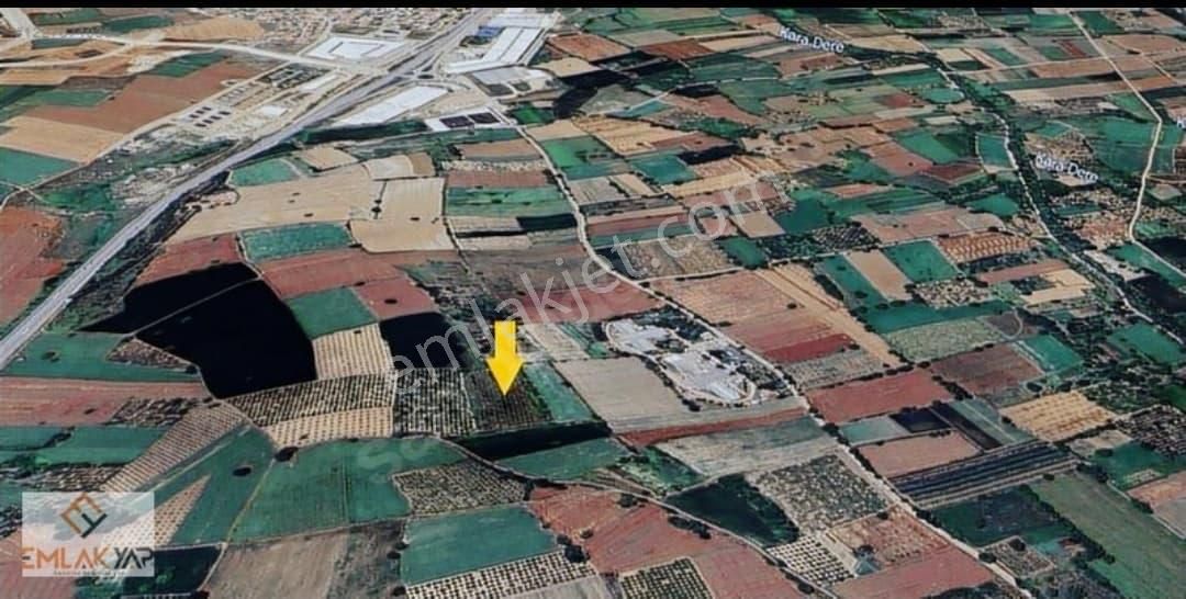 Bursa İnegöl Yenice Köy 'de 9100m2 Satılık Tarla (acil Satılık)