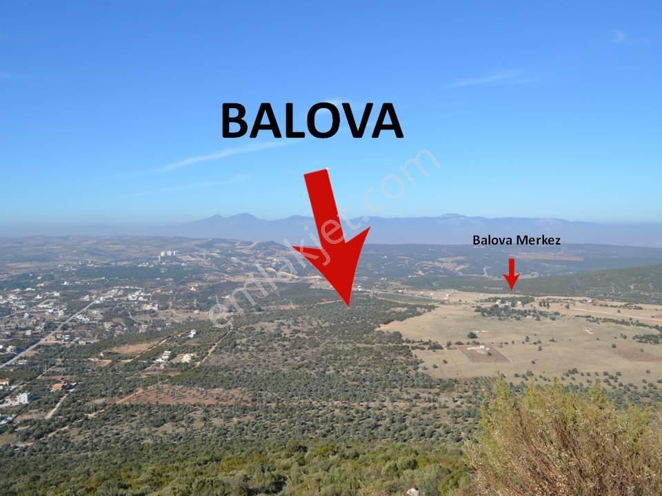 Didim Akyeniköy Balova Mevkiinde Yatırımlık Arsa