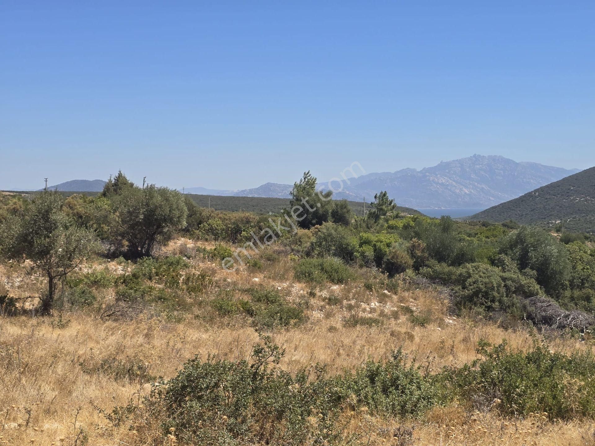 Didim Akyeniköy'de Full Göl Manzaralı 323m² Kat İttifaklı Arsa - Görsel 14