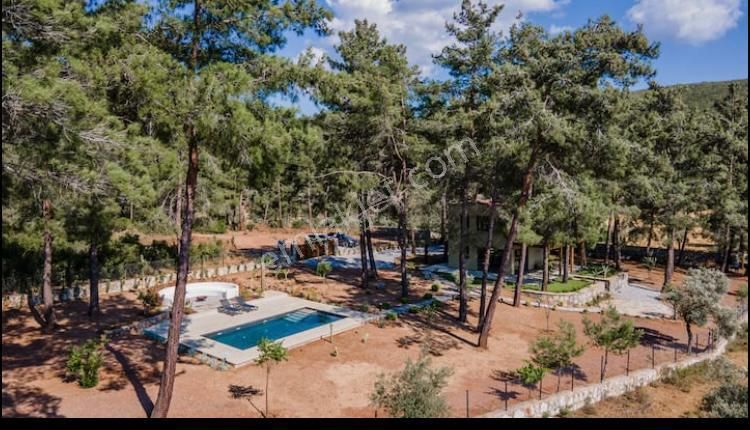 Bodrum Yeniköy Karaova'da 2 Dönüm Arsa İçinde Müstakil Villa