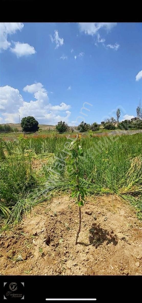Korkuteli Yeleme 1 Dönüm Satılık Köy İçi - Görsel 12