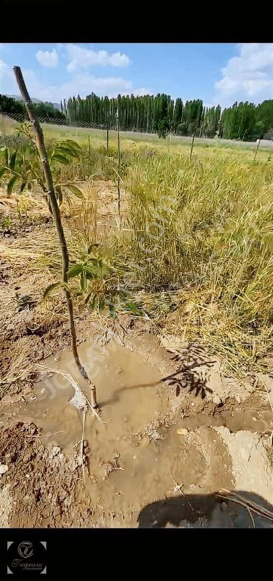 Korkuteli Yeleme 1 Dönüm Satılık Köy İçi - Görsel 10