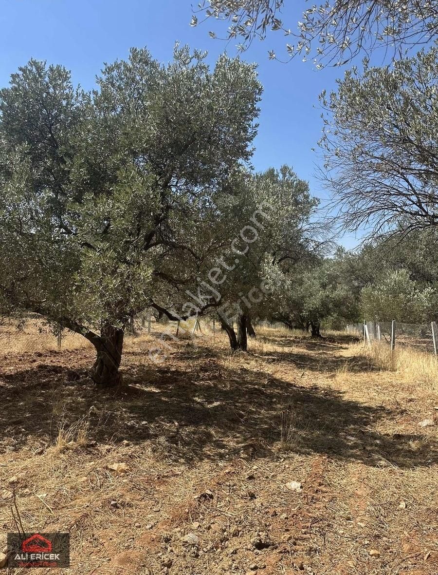 Damlacık Ta Ana Yol Cepheli Arsa - Görsel 9