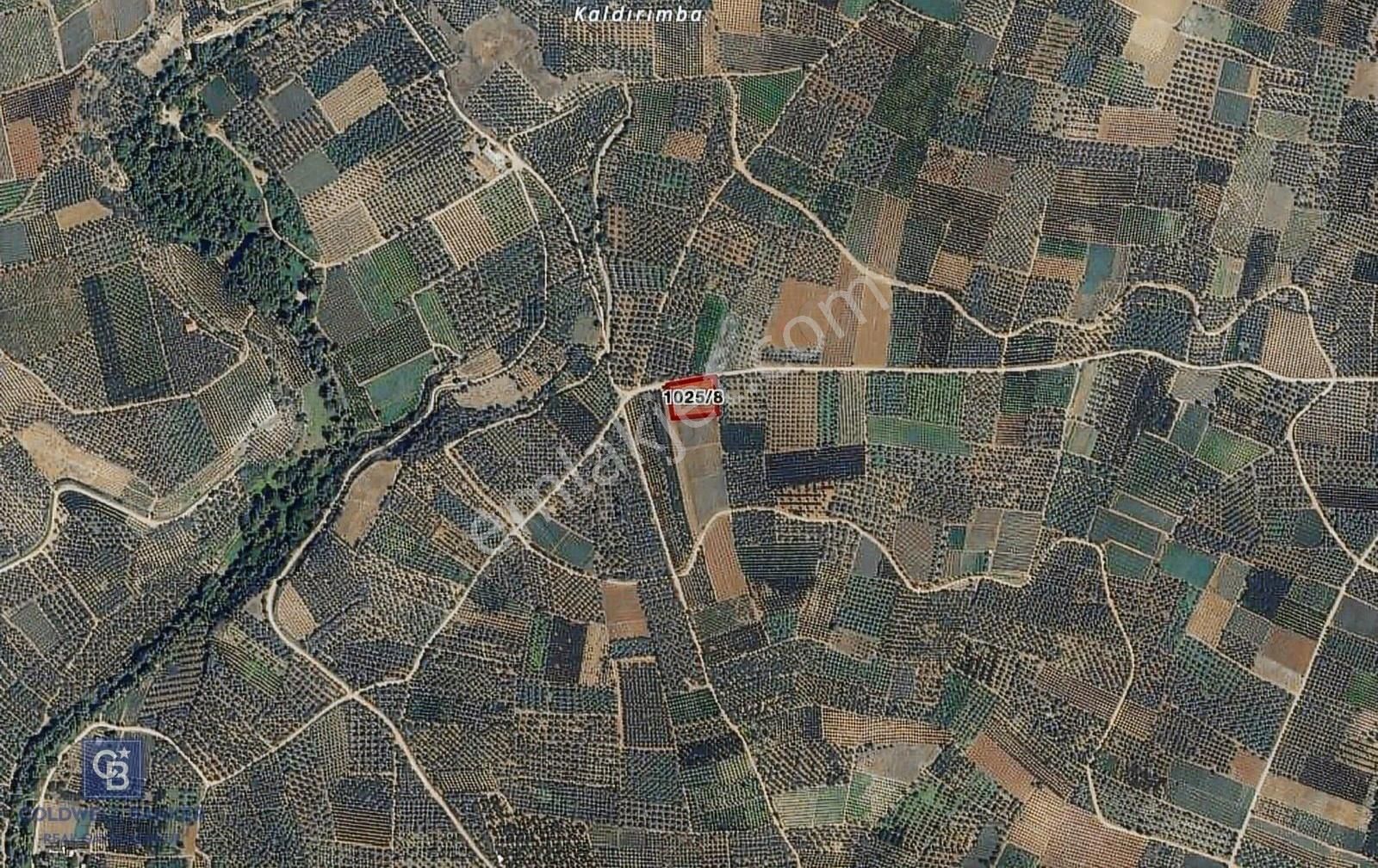 Bursa İznik Ömerli Mah 2853m2 Satılık Bağ Nitelikli Satılık Arsa