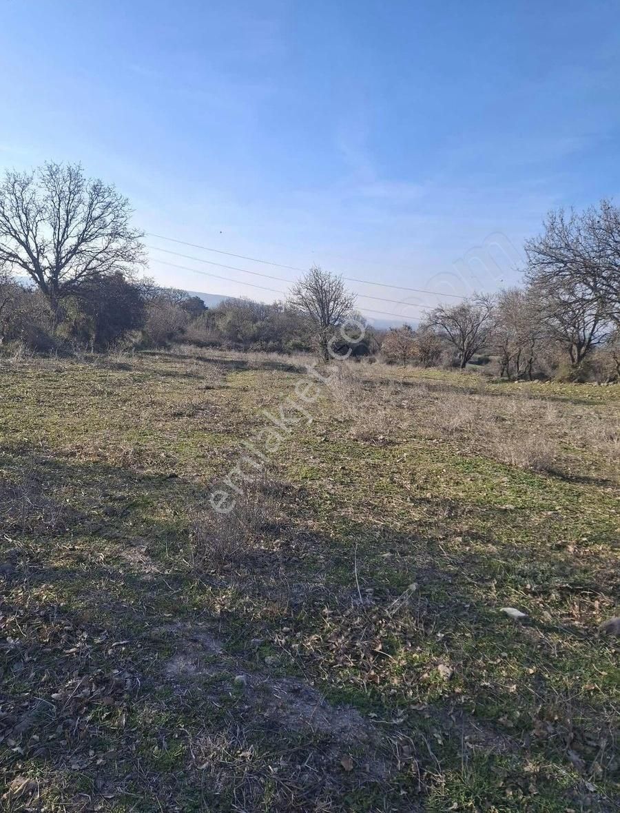 Neşe Emlak Tan Çanakkale De Satılık Tarla - Görsel 2