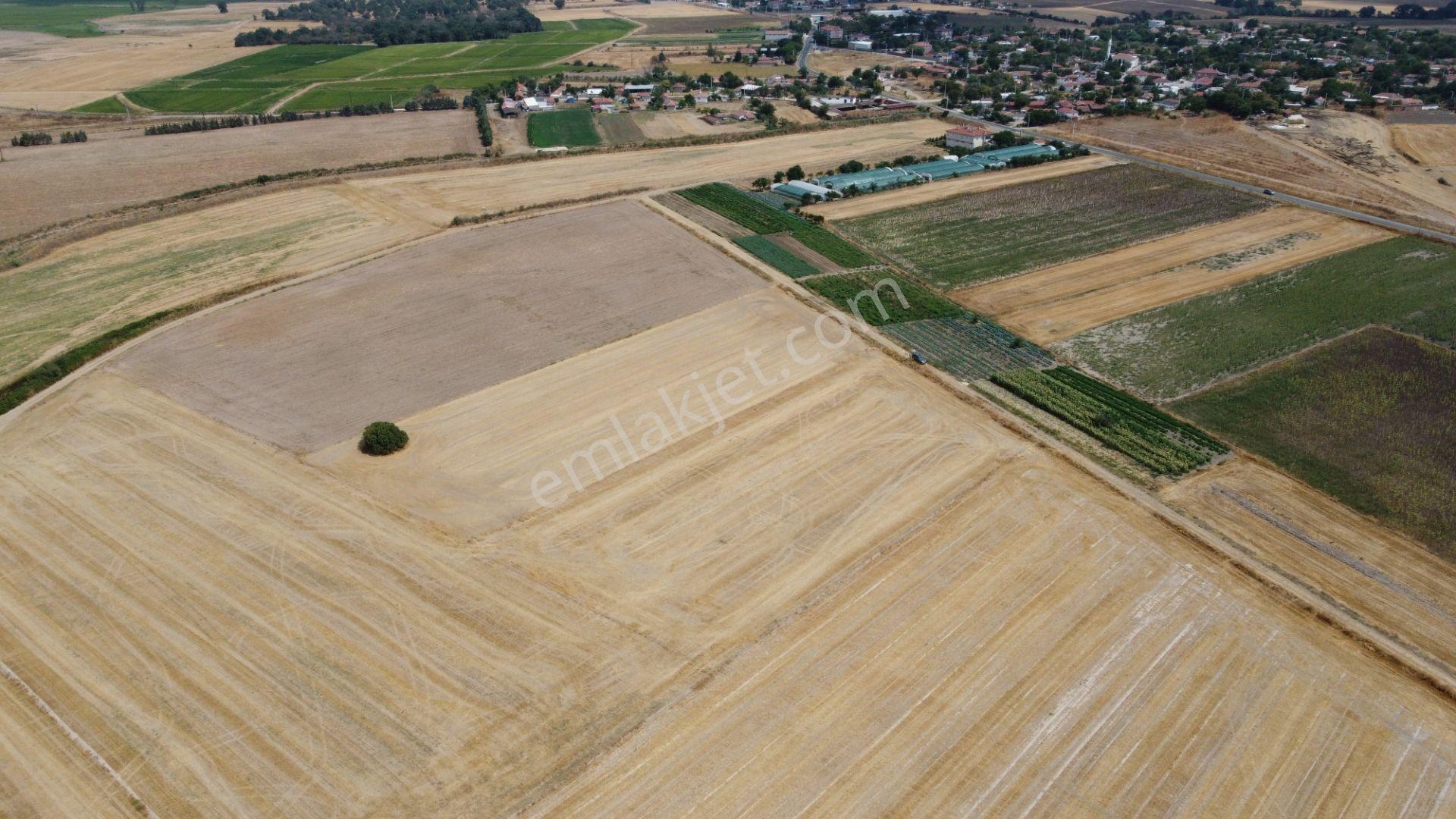 Edirne Uzunköprü Salarlı 6.667 M2 Muhteşem Konum Satılık Tarla ! - Görsel 7