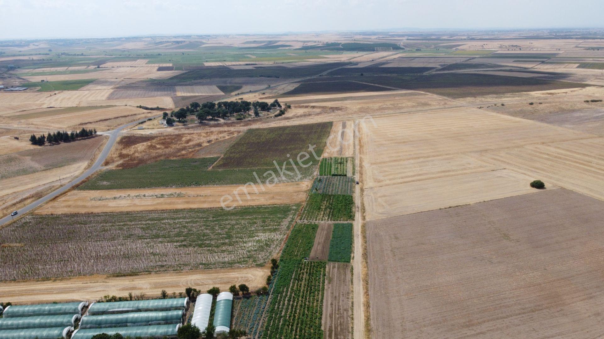 Edirne Uzunköprü Salarlı 6.667 M2 Muhteşem Konum Satılık Tarla ! - Görsel 12