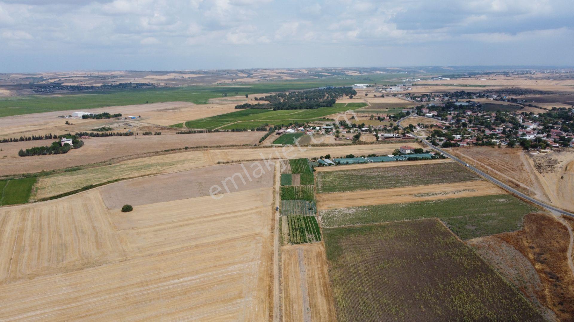 Edirne Uzunköprü Salarlı 6.667 M2 Muhteşem Konum Satılık Tarla ! - Görsel 5