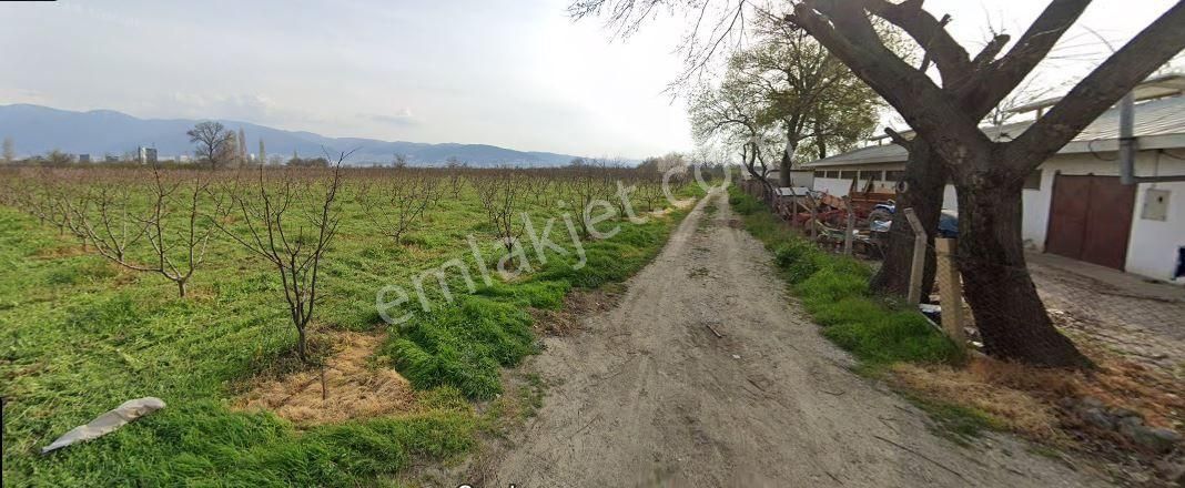 Emlakyap No16 Dan Panayır Mahallesinde Satılık Geniş Arazi
