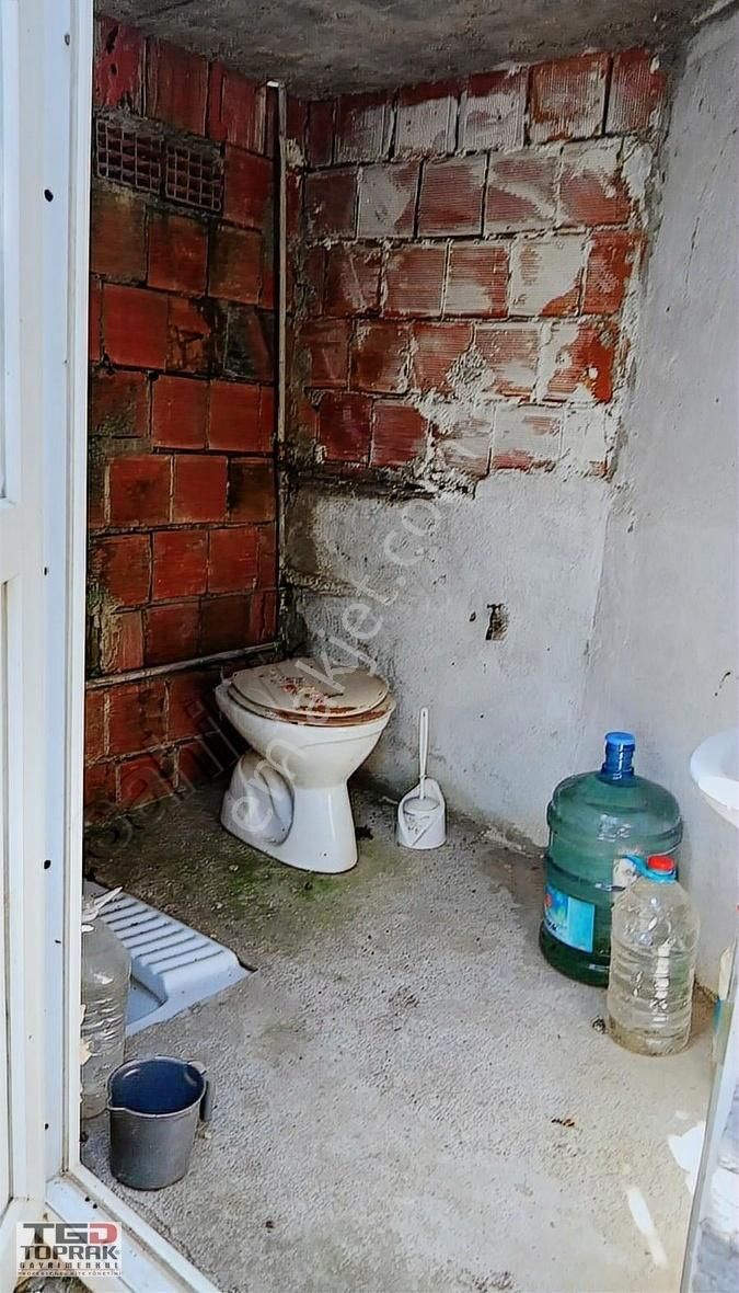 Satılık İçerisinde Bağ Evi Bulunan Fındık Bahçesi - Görsel 5