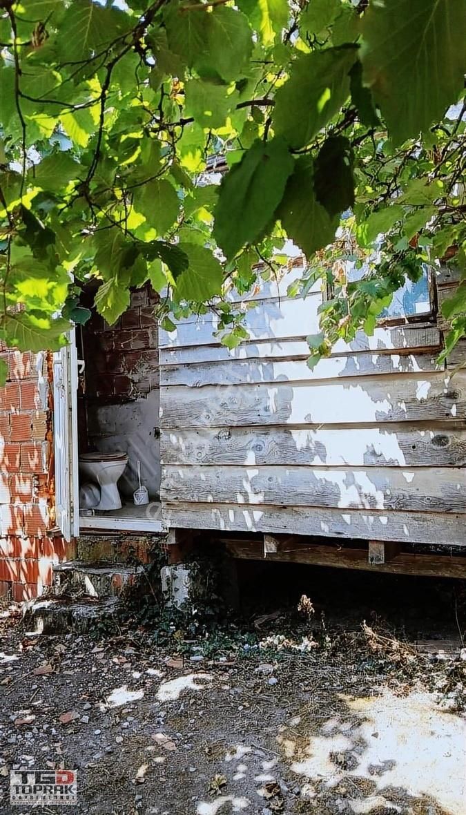 Satılık İçerisinde Bağ Evi Bulunan Fındık Bahçesi - Görsel 7