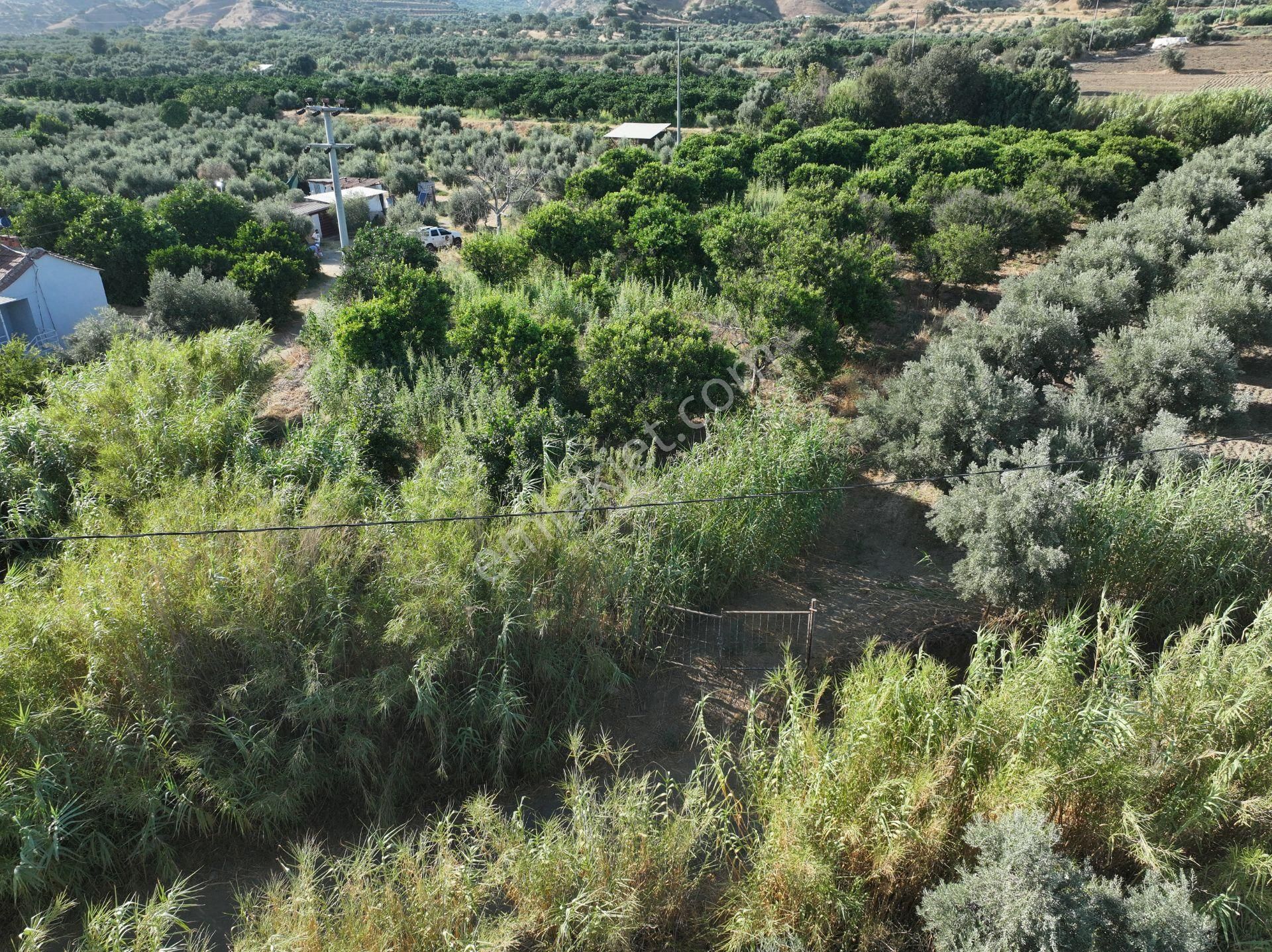 Majestic Manors - Atça İsabeyli Arasında 3.720 M² Satılık Bahçe - Görsel 13