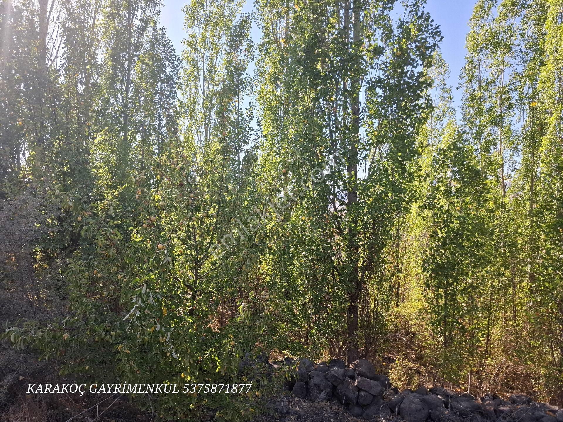 Karakoç Gayrimenkul Satılık İnlicede 555m2 Bahçe Akar Çeşme Yanı - Görsel 21