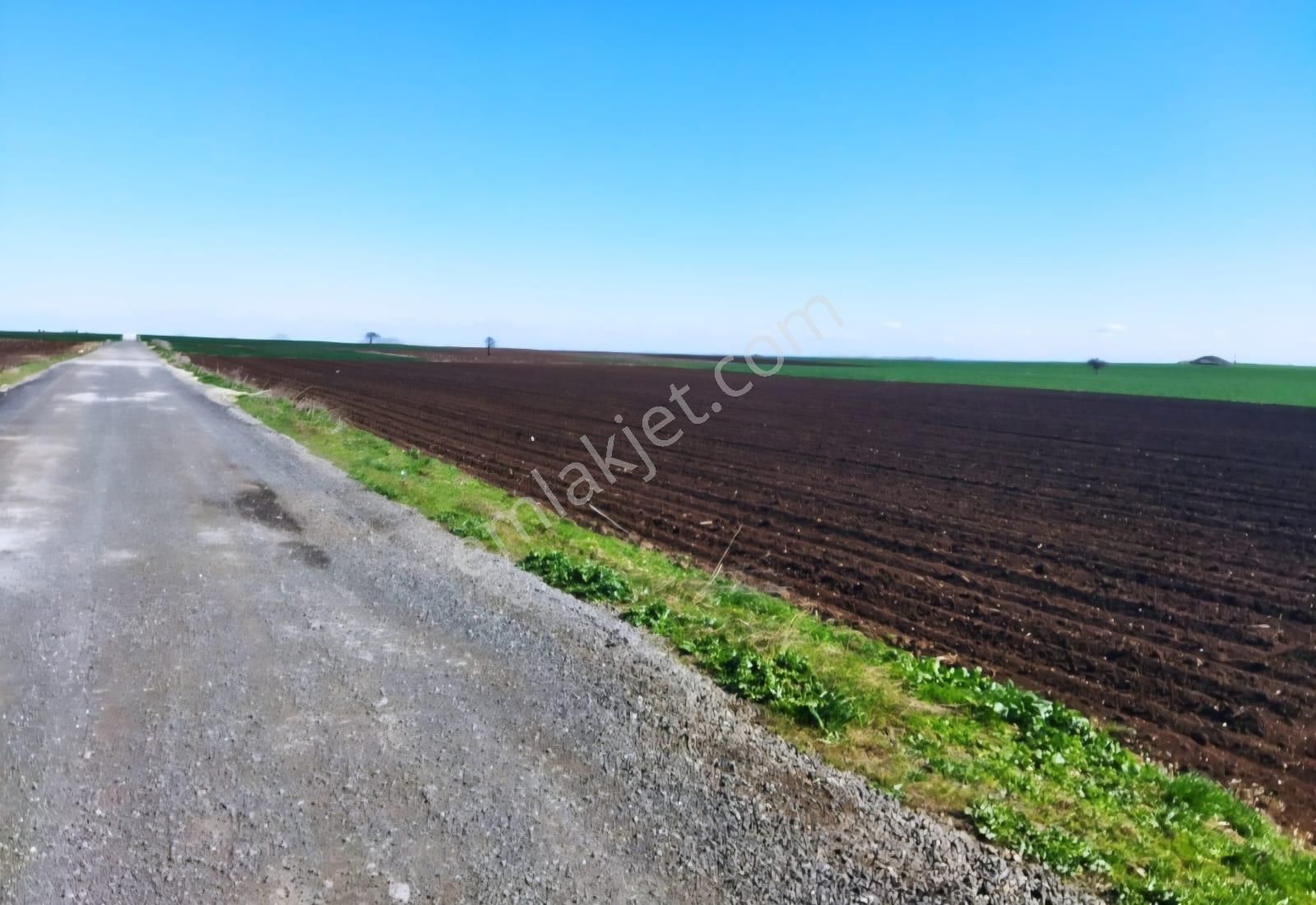 Lüleburgaz Ahmetbey Beldesinde 128 Metre Asfalt Yola Cepheli Müstakil Tapu Arazi