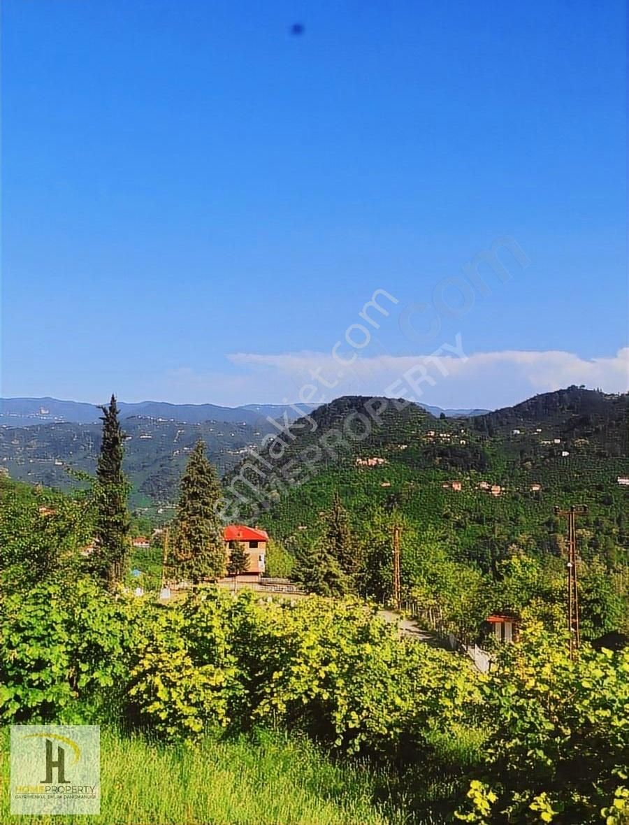 Müstakil Ev Tarzında Doğa İle İç İçe 1+1 Eşyalı Daire